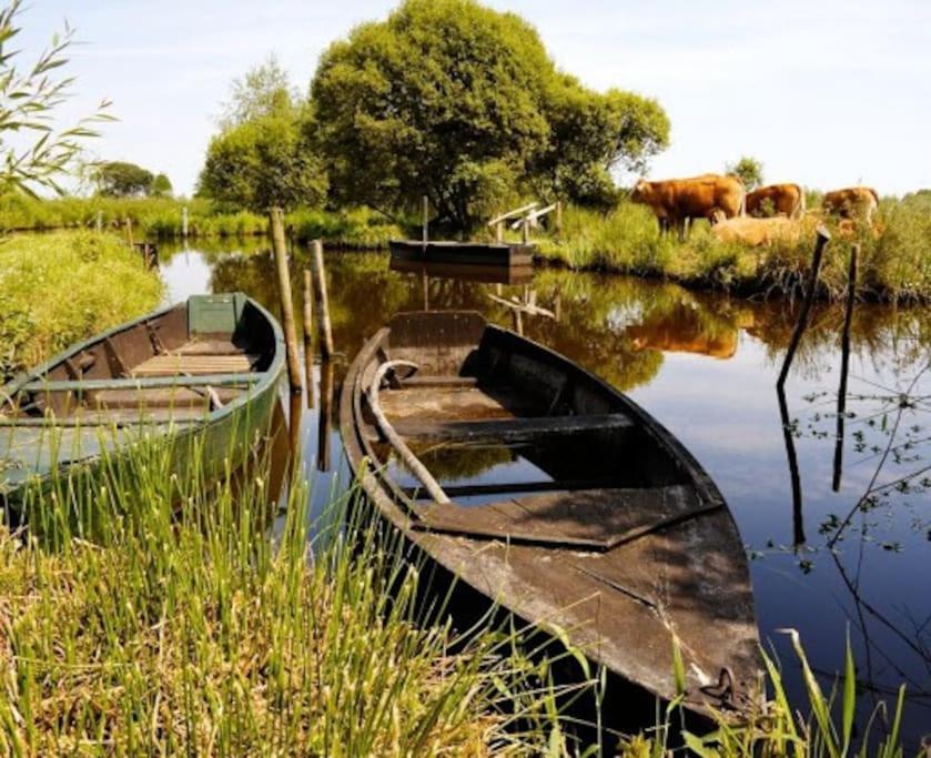 Petit A La Campagne Proche Missillac
